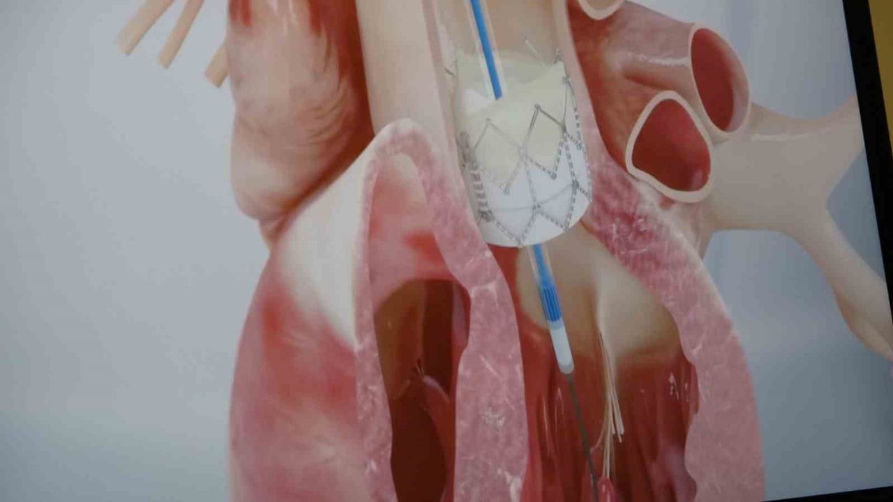 Gençlerde ani ölümlerin yüzde 90'ı genetik, uyarısı Prof. Dr. Pekdemir