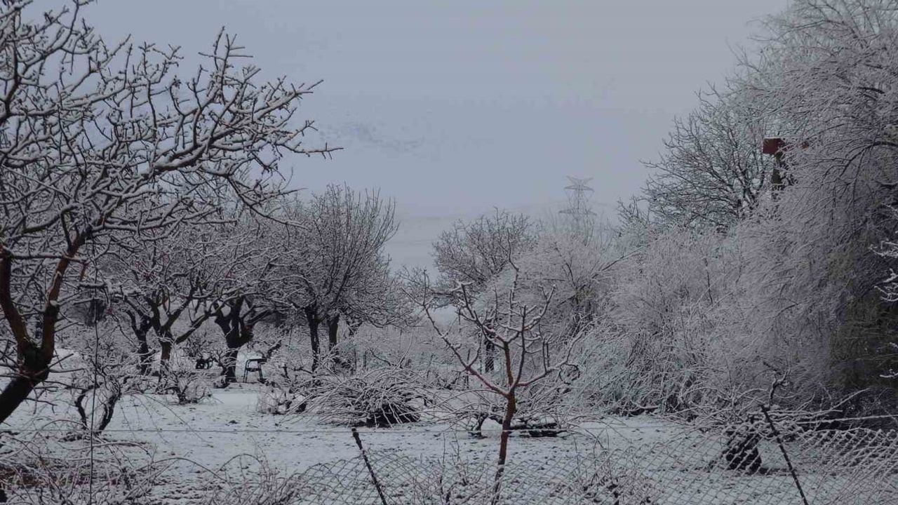 Gercüş sabaha karla uyandı, ilçe beyaza büründü