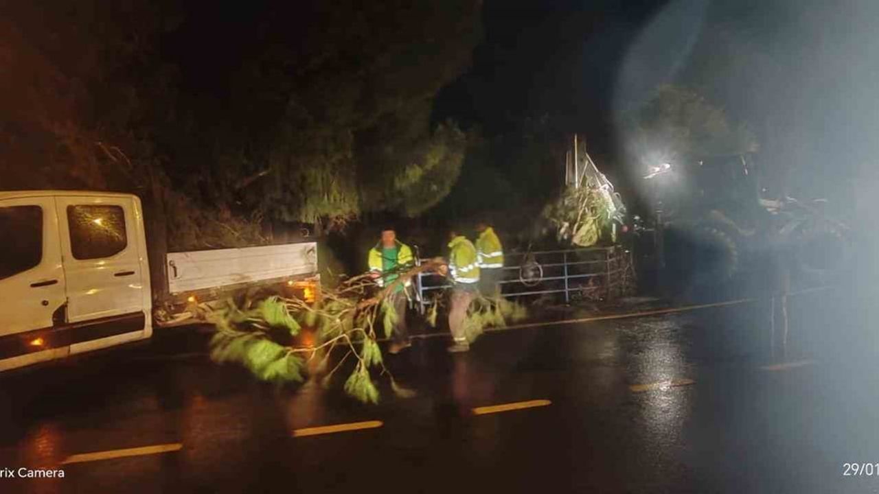 Germencik’te fırtına Mursallı Mezarlığı’ndaki ağaçları devirdi, ekipler hızlı müdahale etti