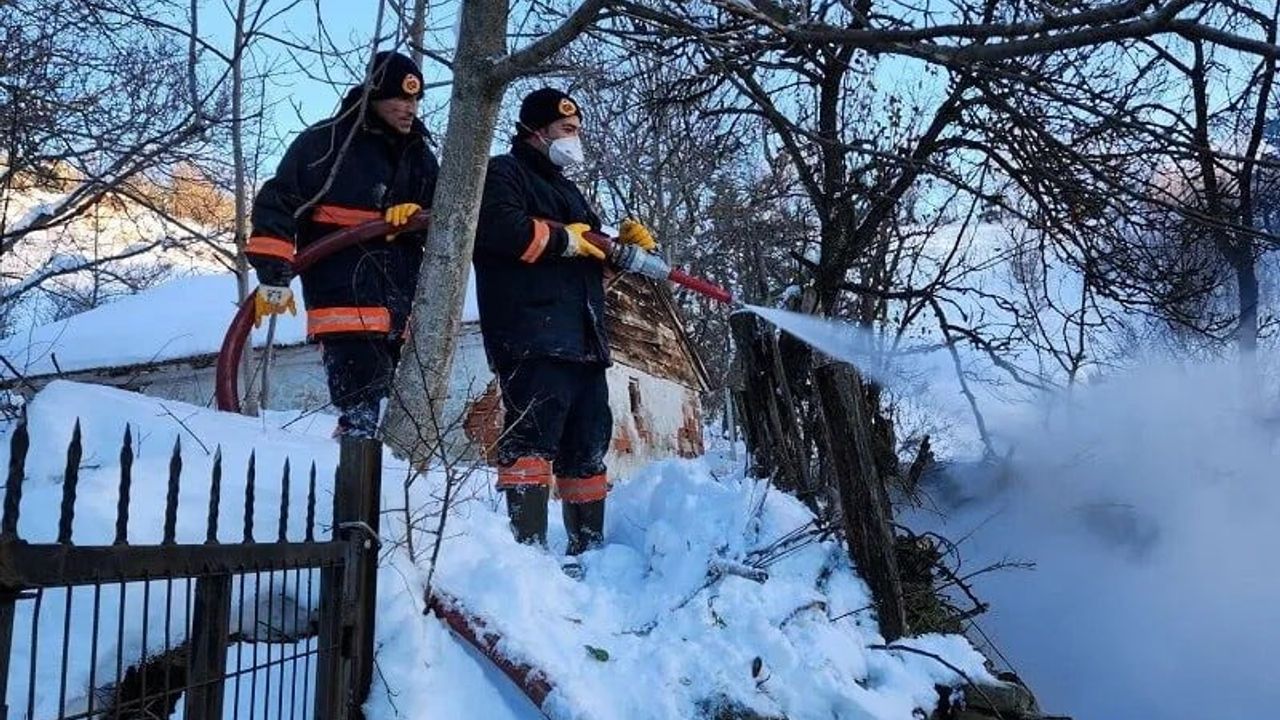 Gerze'de ahır yangını: 9 büyükbaş hayvan hayatını kaybetti