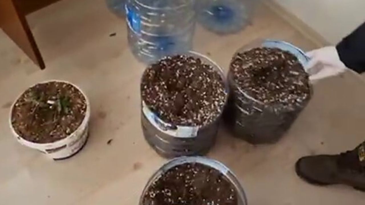 Geyve'de ev odasını uyuşturucu serasına çeviren iki şüpheli yakalandı