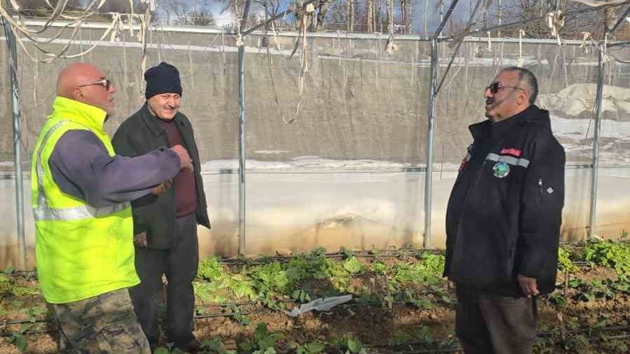 Giresun'da fırtına seralara ve yayla evlerine zarar verdi