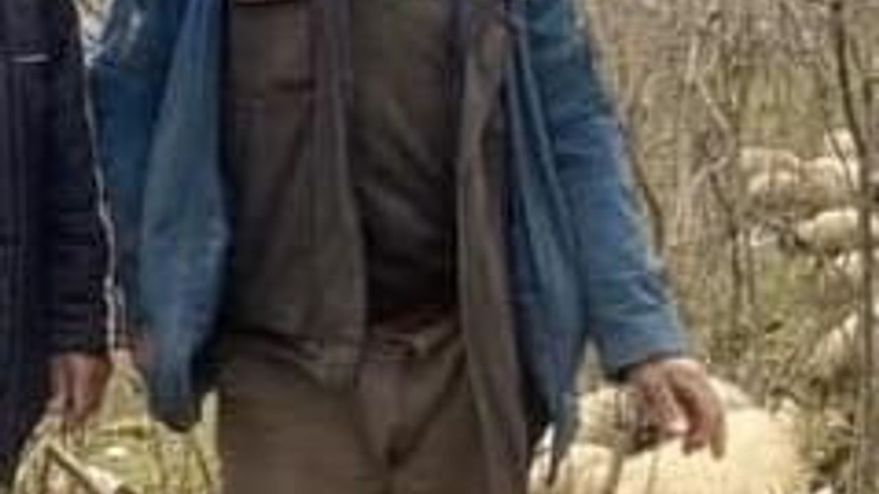 Giresun Güce'de çığ: Bir çoban hayatını kaybetti