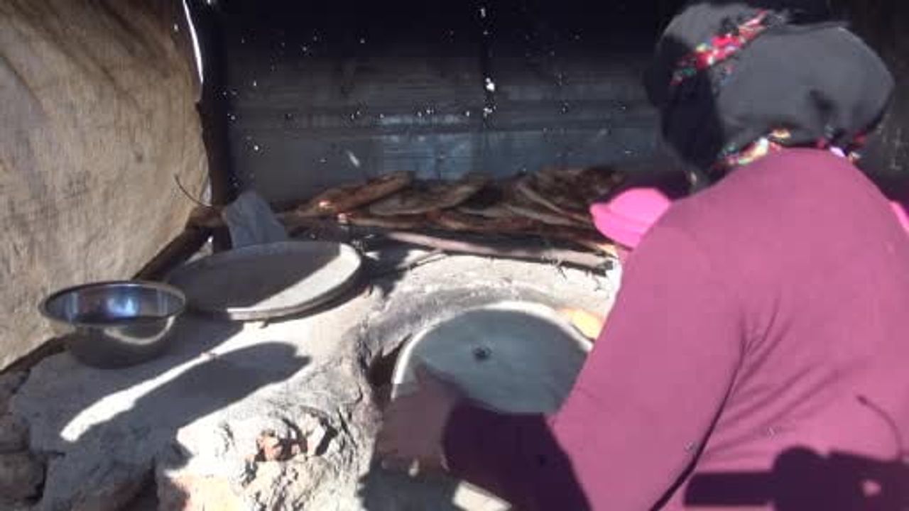 Göç Yollarında Bir Ömür: Gabar Dağı Eteklerinde Konar Göçerlerin Direnişi