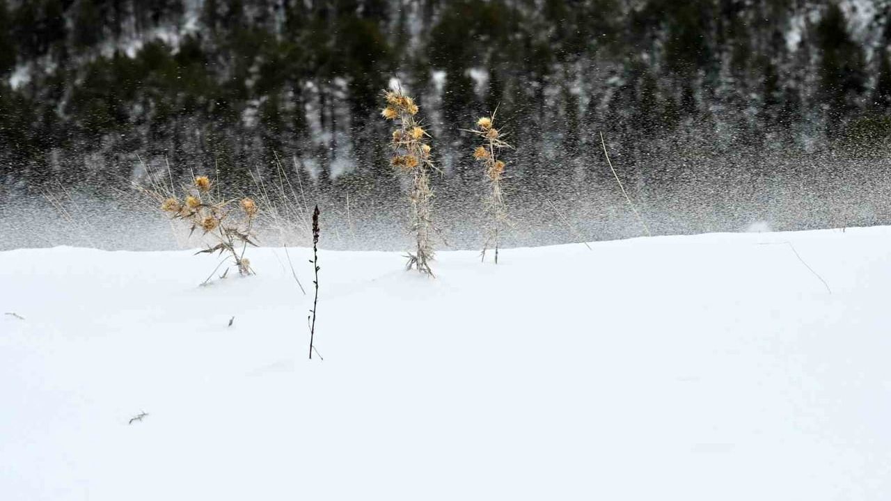 Gümüşhane’de beyaz yolculuk: GÜDAK ile 11 km kış yürüyüşü