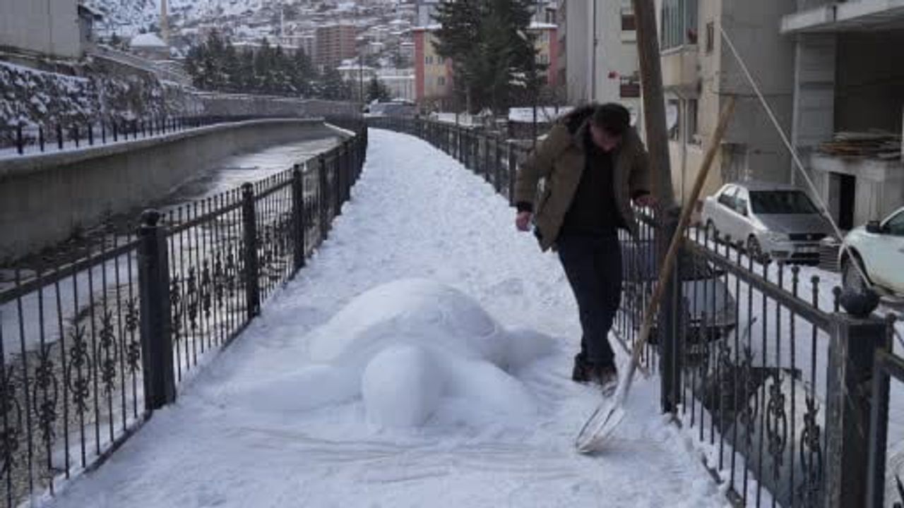 Gümüşhane'de kardan kaplumbağa ilgi çekti