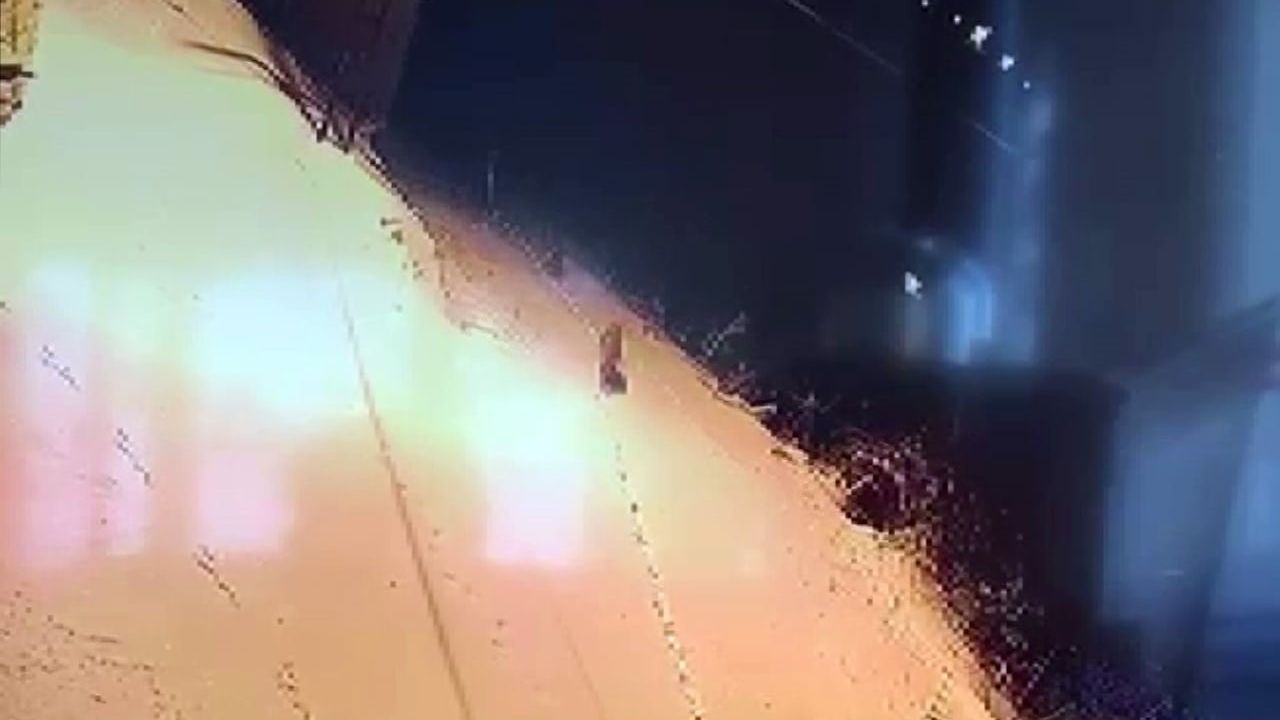 Gürün'de kurt sürüsü şehir merkezine indi