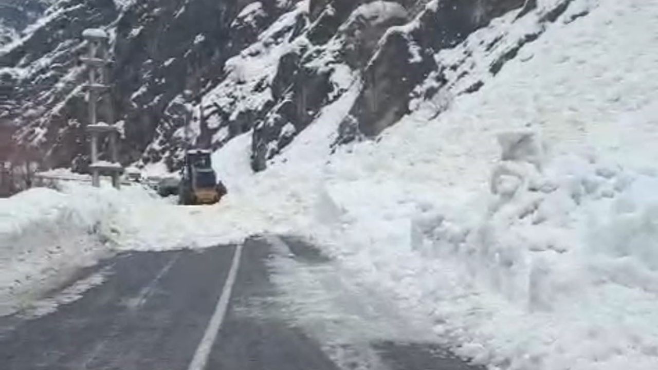 Hakkari-Çukurca karayolunda 2 ayrı çığ yolu kapattı
