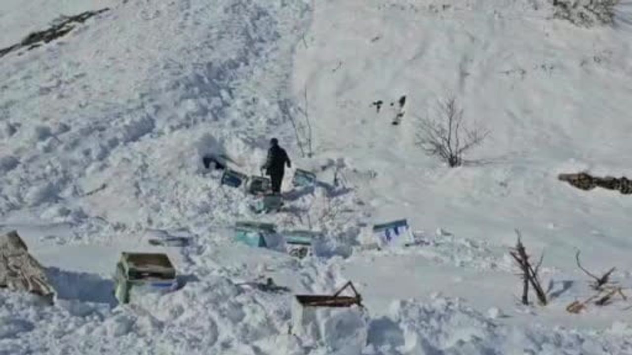 Hakkari'de 32 arı kovanı çığ altında kaldı