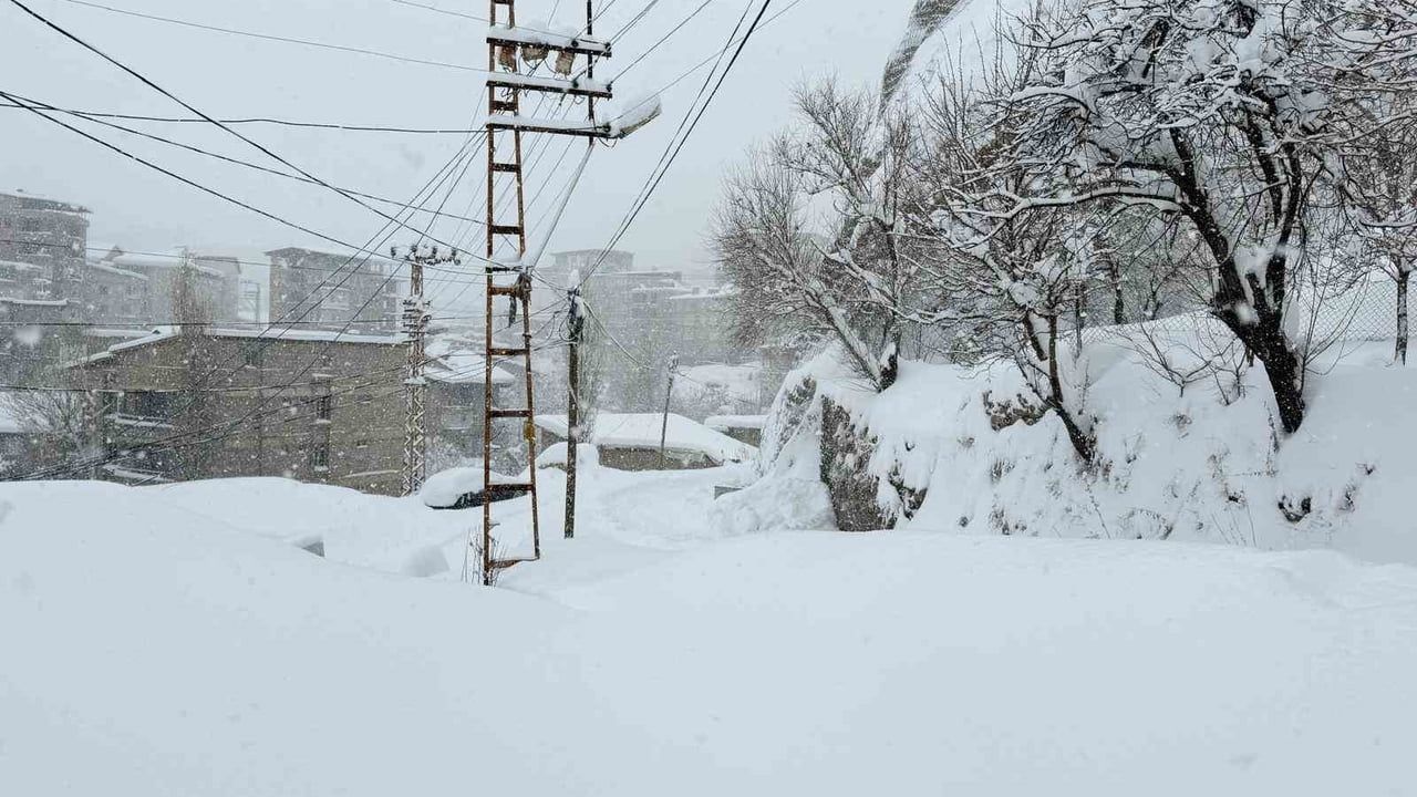 Hakkari'de 43 yerleşim yerinin yolu kapandı