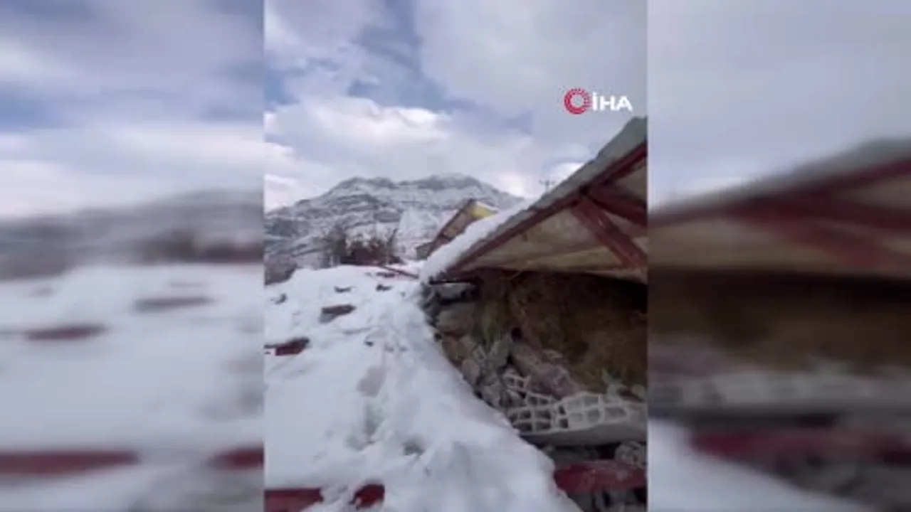 Hakkari'de kar yükü nedeniyle ahır çöktü