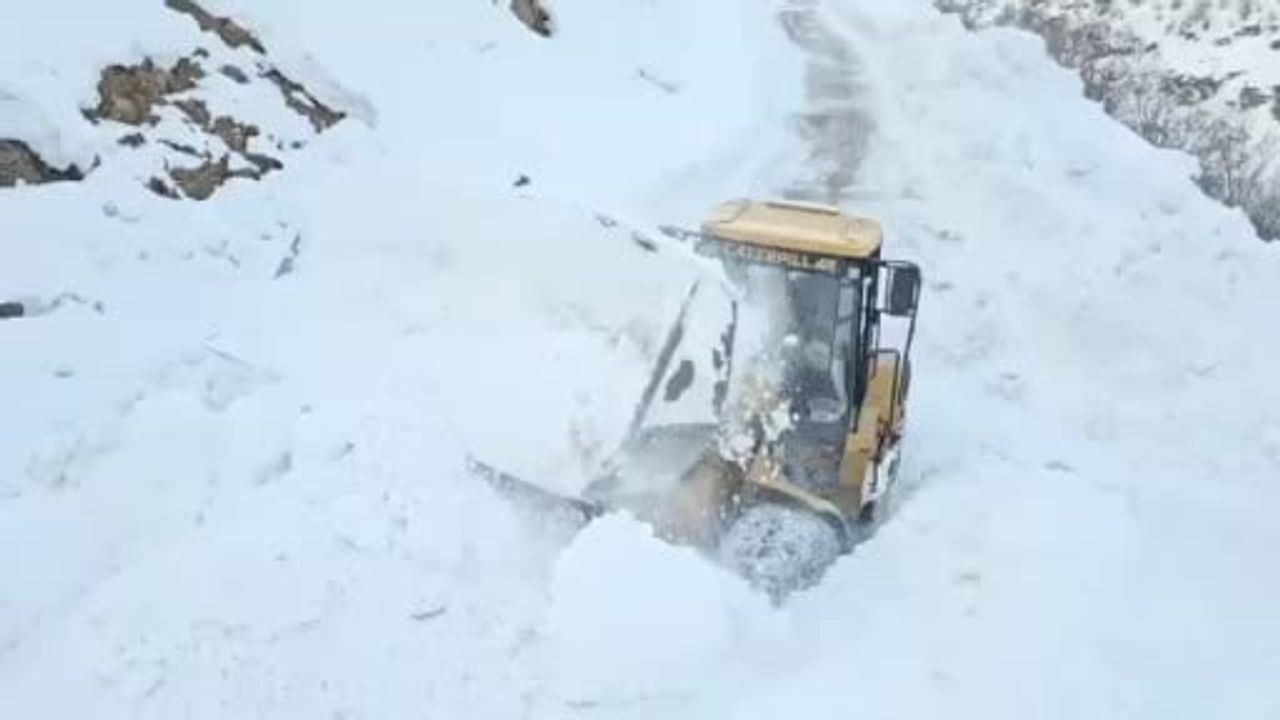 Hakkari'de karla mücadele: 294 yerleşim yerinin yolu ulaşıma açıldı