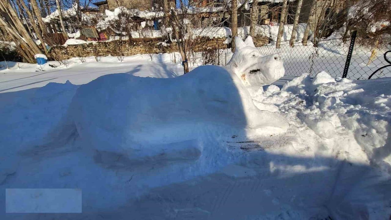 Hakkarili gençten kardan kangal köpeği figürü ilgi odağı oldu