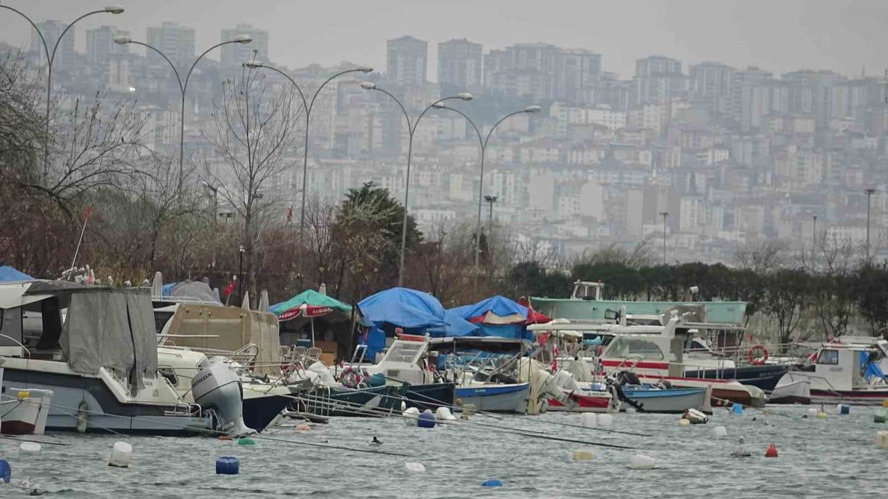 Hamsinin rotası: Gürcistan hattında bekleyiş