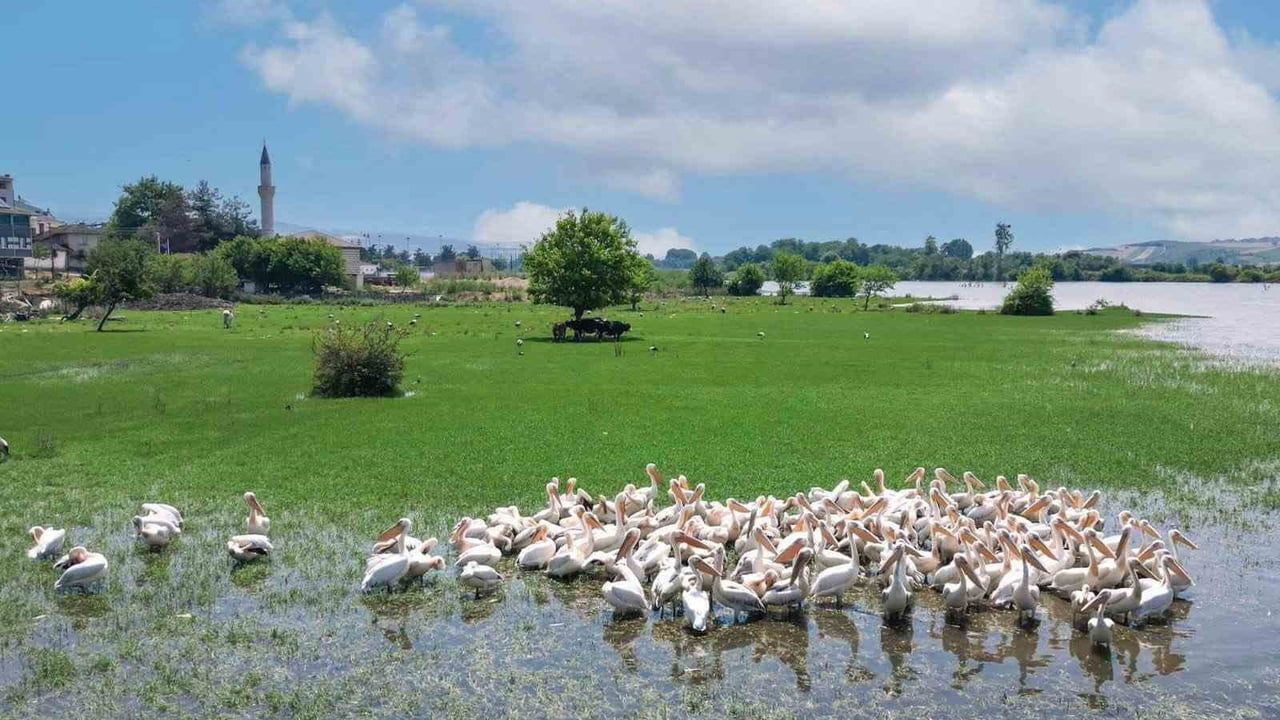 Hamzabey’de Doğa ve Tarih Buluşuyor: Kıyı Yenileme Projesi İnegöl’de Devam Ediyor