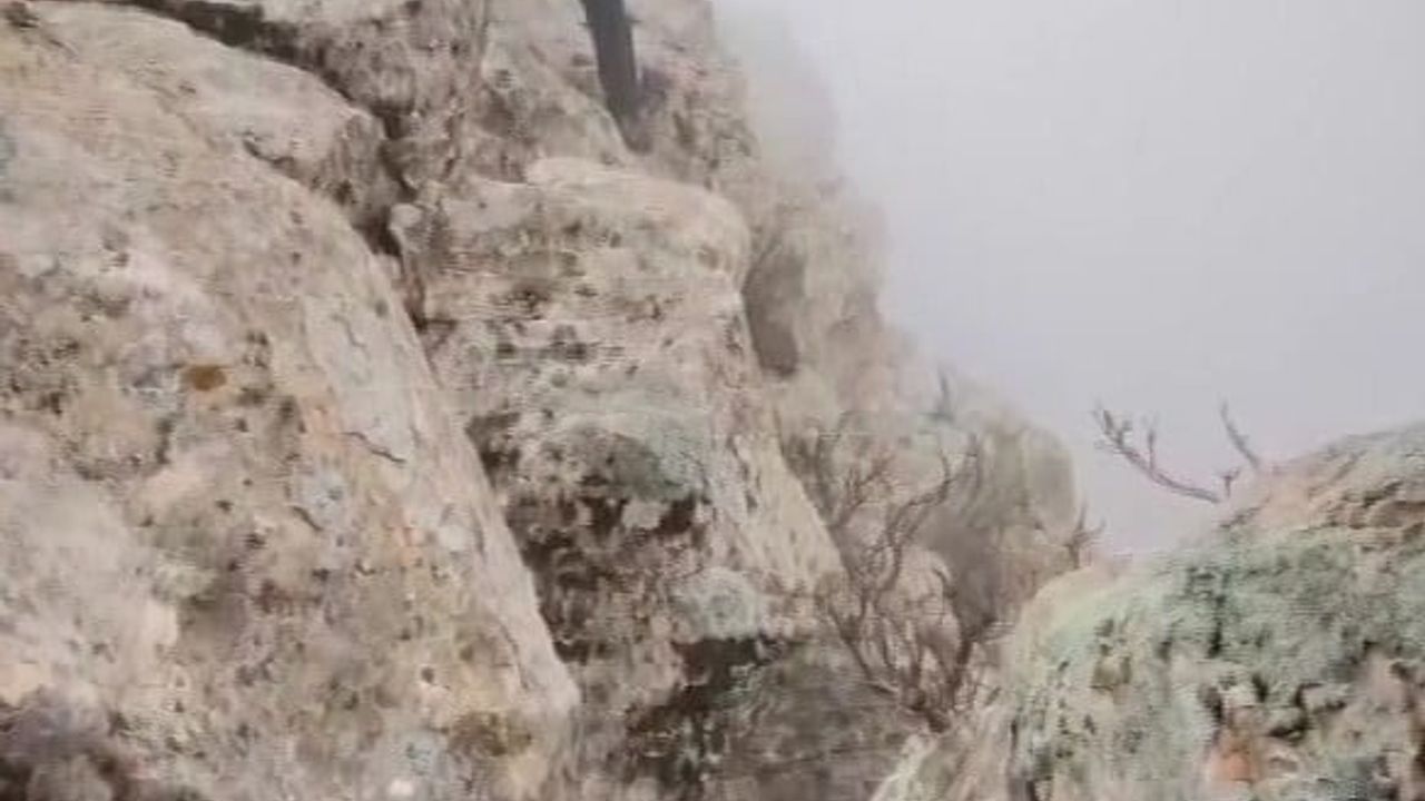 Hasankeyf’te 5 gün mahsur kalan keçi AFAD tarafından kurtarıldı