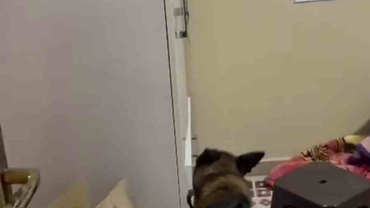 Hatay'da 17 yaşındaki Eylül'ü yaralayan kişinin ablası olduğu belirlendi