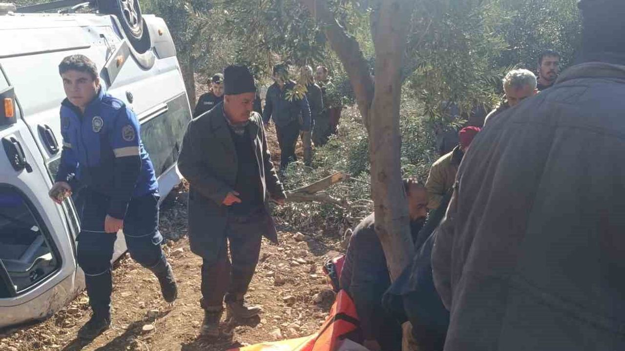 Hatay'da öğrenci servisi zeytinliğe düştü: 5 yaralı