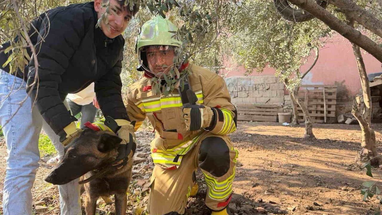 Hatay'da patisi zincire sıkışan köpek itfaiye tarafından kurtarıldı