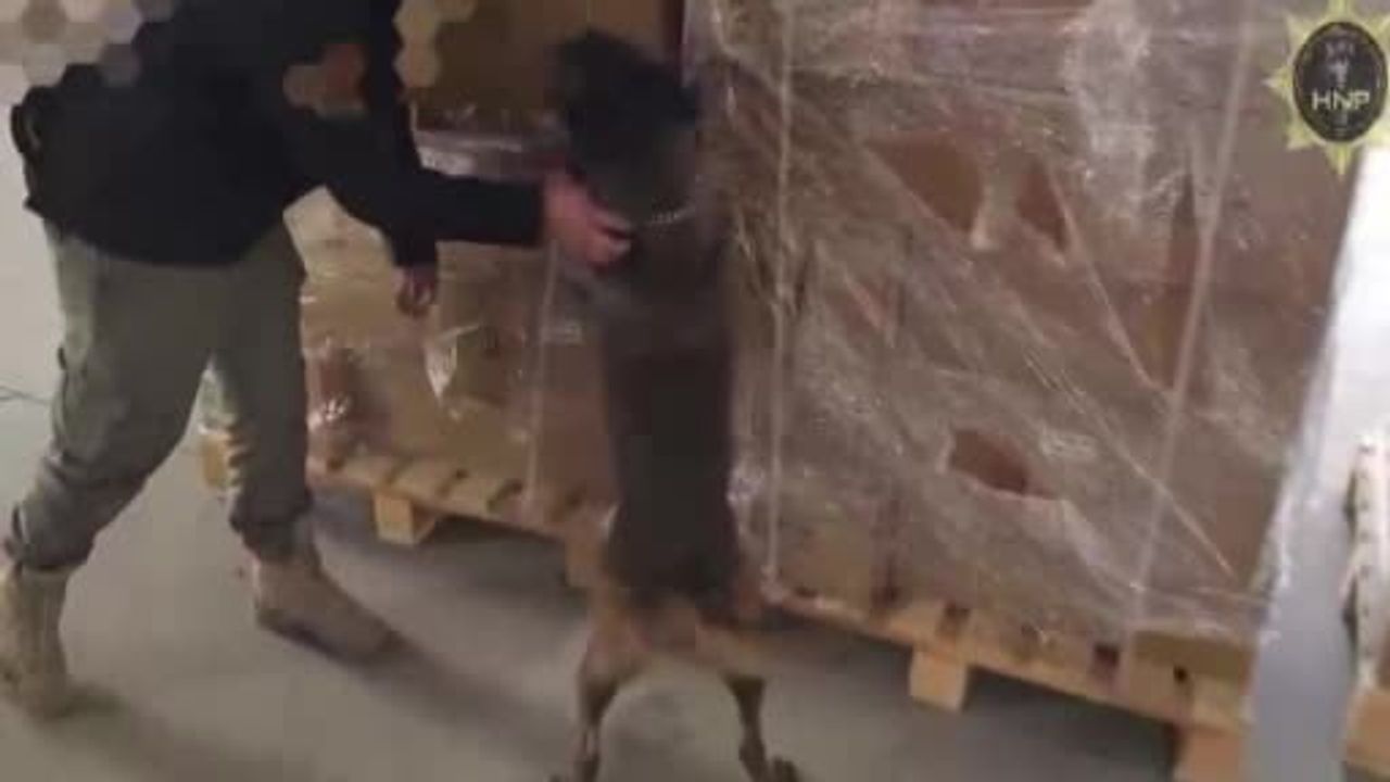 Hatay'da plastik pervanelere gizlenmiş 642 bin Captagon ele geçirildi