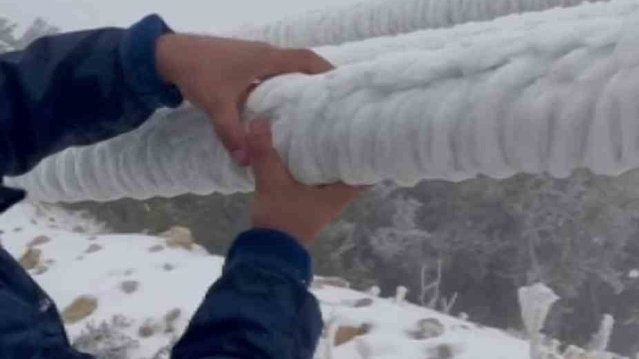 Hatay'da tipi 100'den fazla direği devirdi — Toroslar EDAŞ müdahalesi