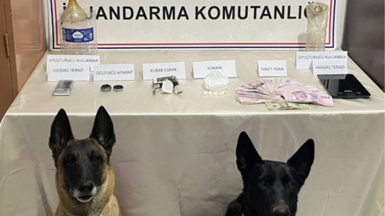Hopa'da jandarma operasyonu: 130 gram kokain ele geçirildi