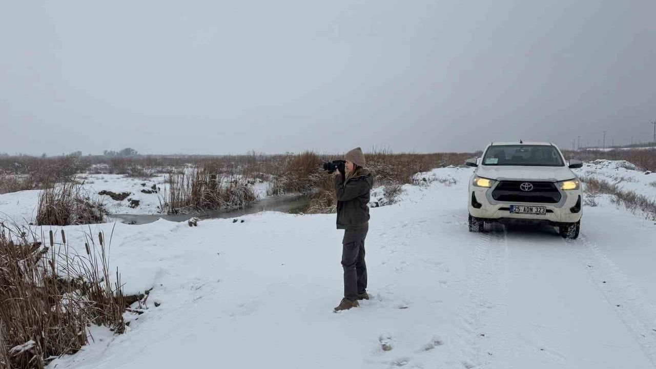 Iğdır'da belgesiz avlanan kişiye idari yaptırım