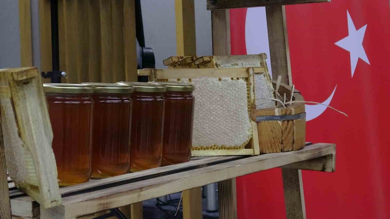 Ilgaz balı Guinness Rekorlar Kitabı'na girdi — Dünyanın en pahalı balı