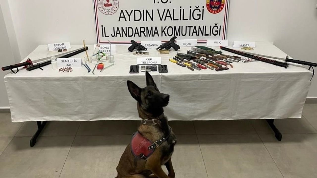 İncirliova'da jandarma uyuşturucu ve silah operasyonu