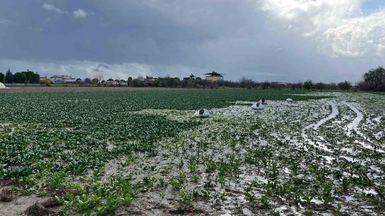 İncirliova'da sağanak sokakları göle çevirdi