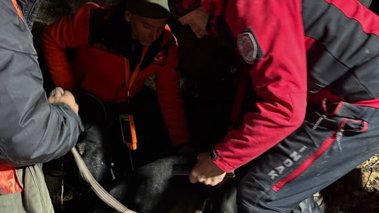 İNDAK, Süpürtü’de mahsur kalan iki av köpeğini 7 saatlik operasyonla kurtardı