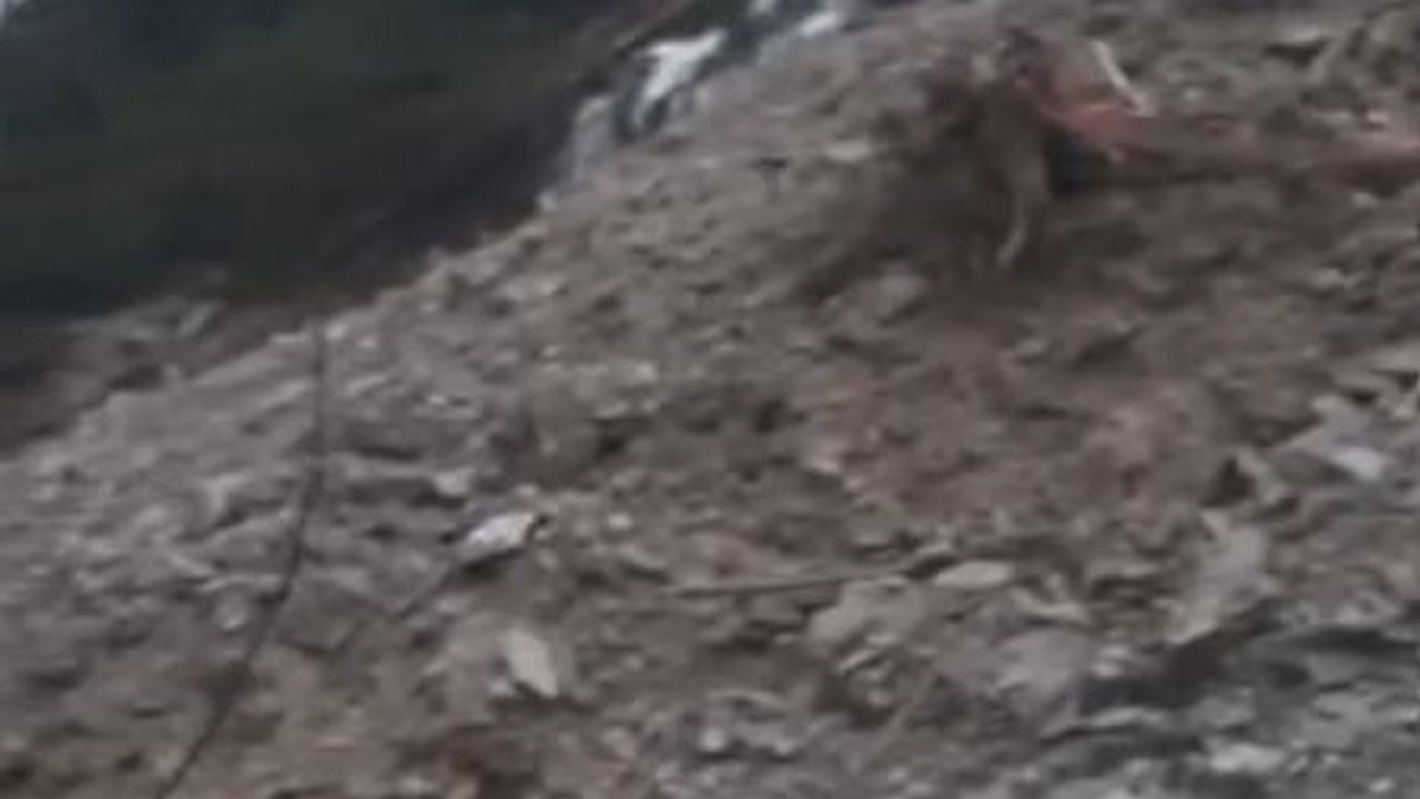 İnebolu-Doğanyurt-Cide sahil yolu yeniden heyelan nedeniyle trafiğe kapandı