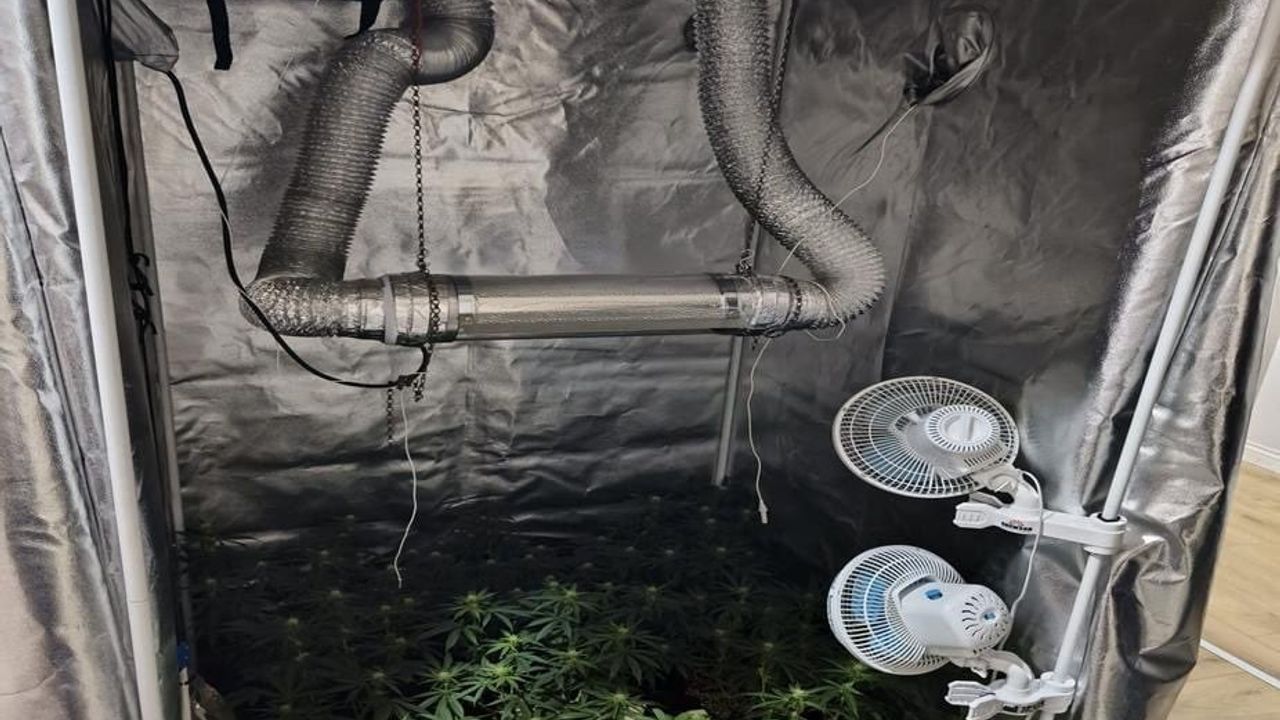 İnegöl'de evde esrar üretimine operasyon: Üretim düzeneği ele geçirildi