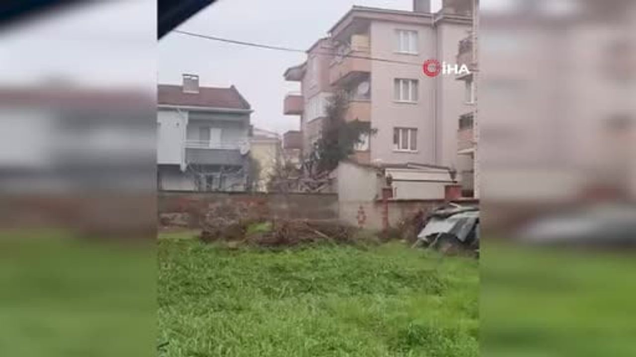 İnegöl merkezinde tilki sürprizi: Bahçede cep telefonu kamerasına yakalandı