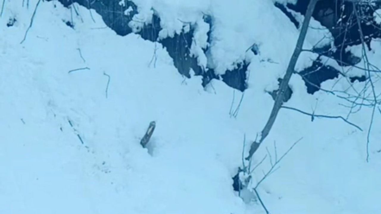 İş makinesi operatörü karda kaybolan keçiyi sahiplerine teslim etti