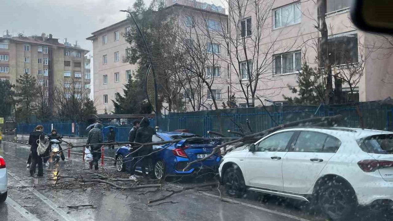 Isparta'da fırtına etkisini artırdı: Ağaçlar devrildi, araçlar zarar gördü