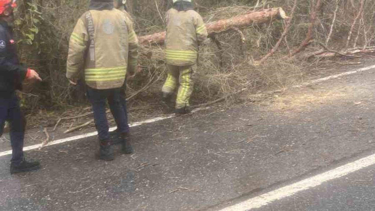 İstanbul için lodos uyarısı: Kuvvetli fırtına ve hızlı sıcaklık artışı