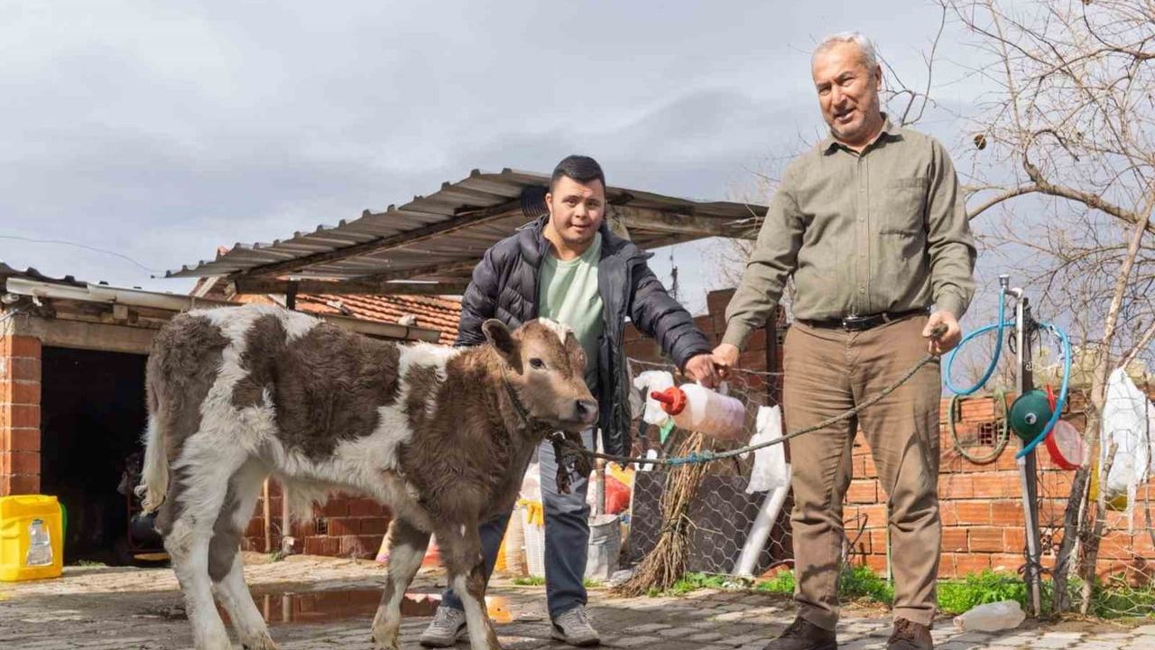 İzmir'de çiftçilere buzağı kiti ve dezenfektan desteği