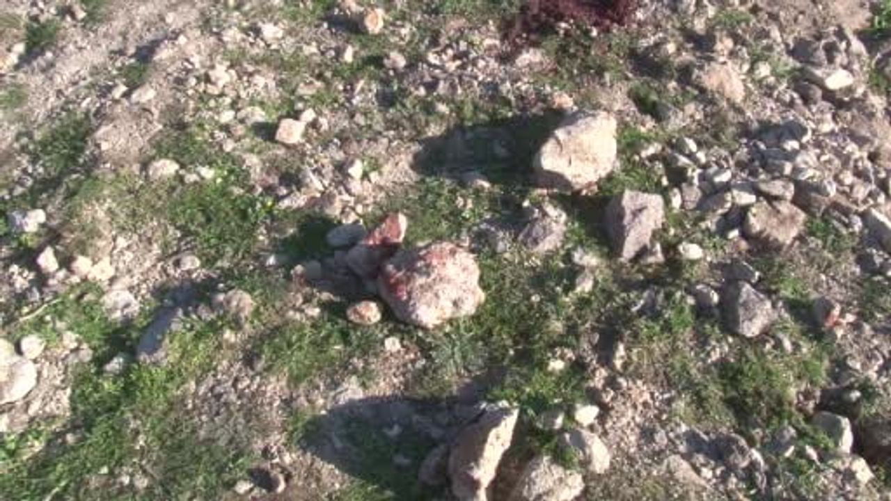 İzmir'de eski İHD Şube Başkanı Ali Aydın’ın öldürülmesi: Zanlı tutuklandı