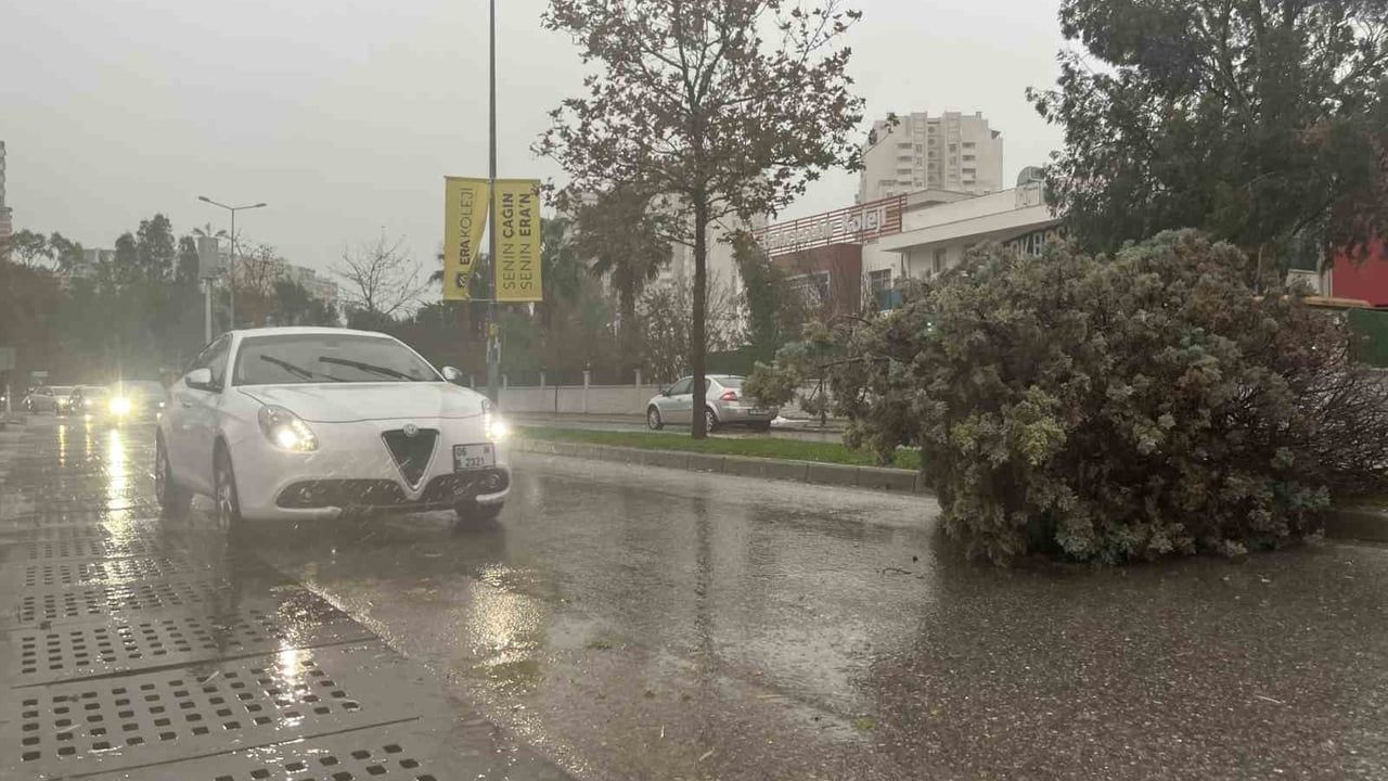 İzmir'de fırtına ve sağanak: 5 araç hasar gördü