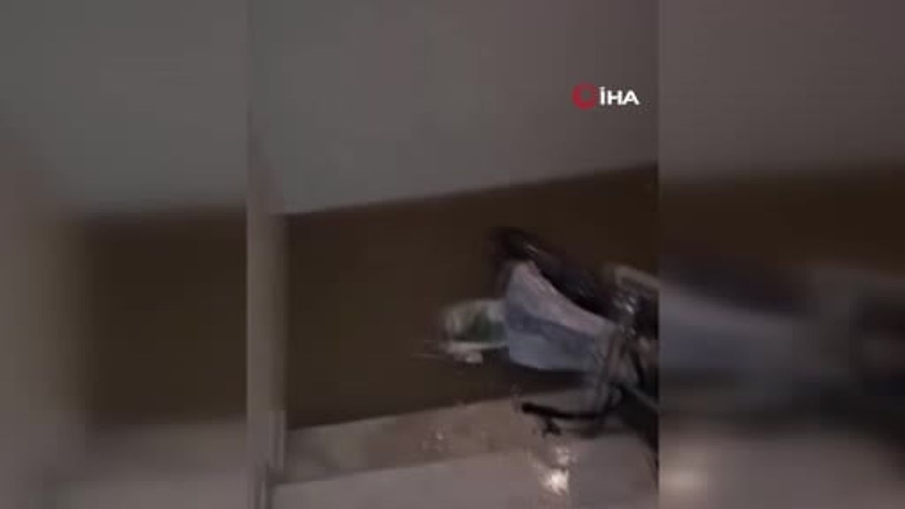 İzmir’de Sağanak Sele Döndü: Evler ve İş Yerleri Sular Altında