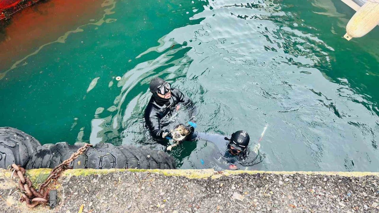 İzmir İtfaiyesi Karşıyaka Vapur İskelesi’nde Sıkışan Kediyi Kurtardı