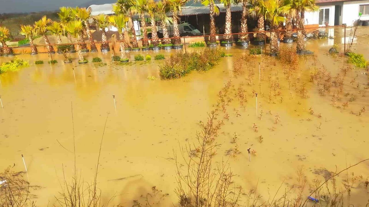 İzmir sağanakla boğuşuyor: Yollar ve tarım arazileri sular altında