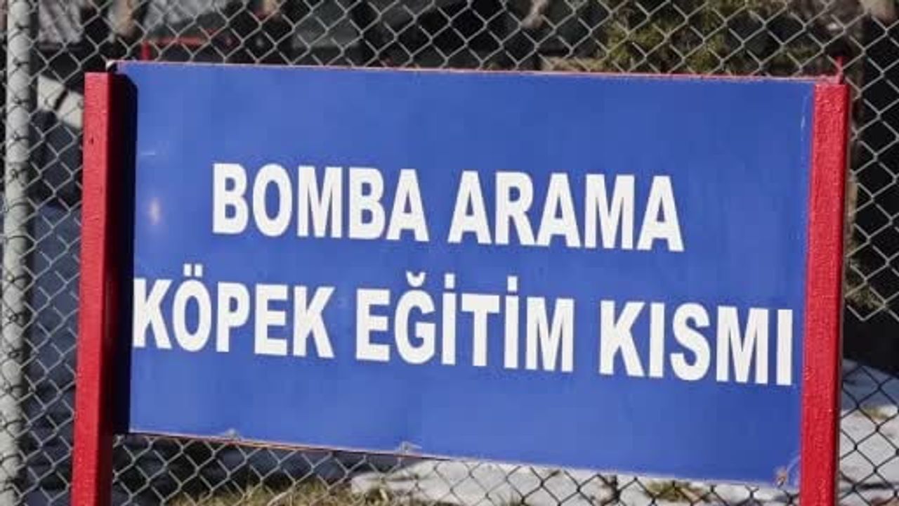 JAKEM’de görev köpekleri zorlu branşlara hazırlanıyor