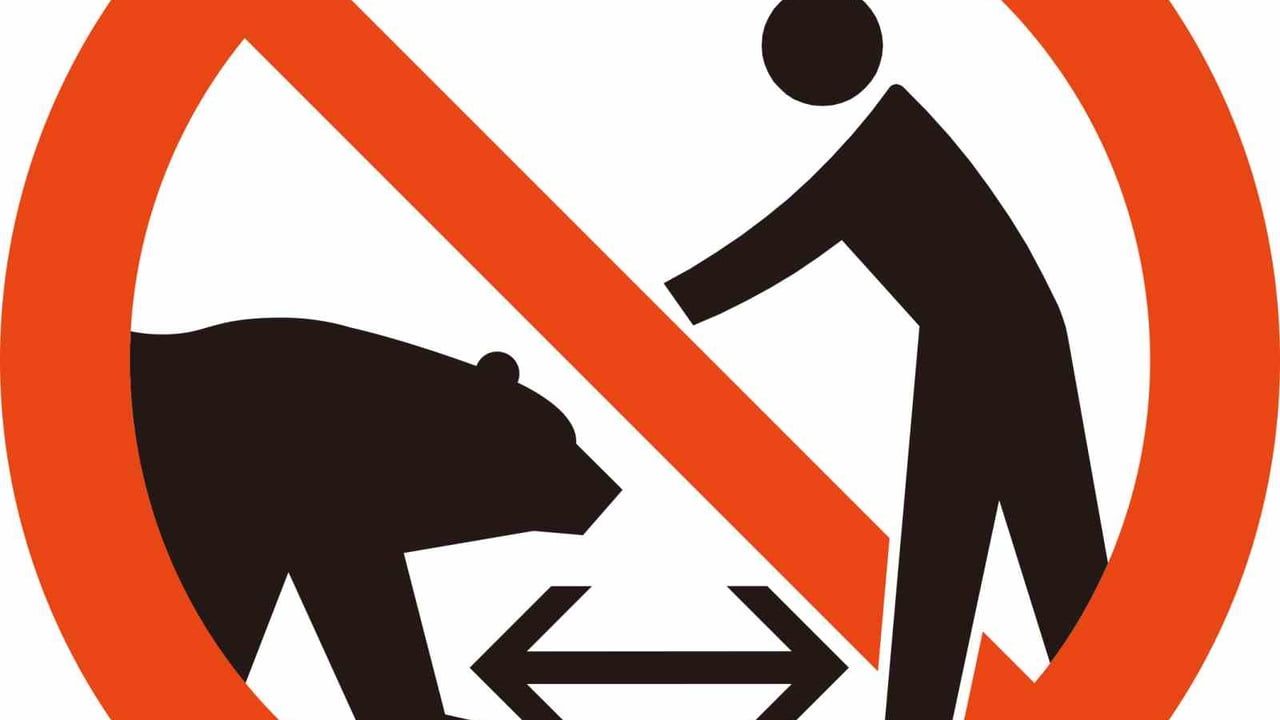 JTA yeni ayı uyarı işaretlerini tanıttı