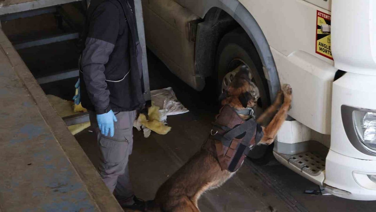 Kapıkule Sınır Kapısı'nda 144 kilo 732 gram esrar yakalandı