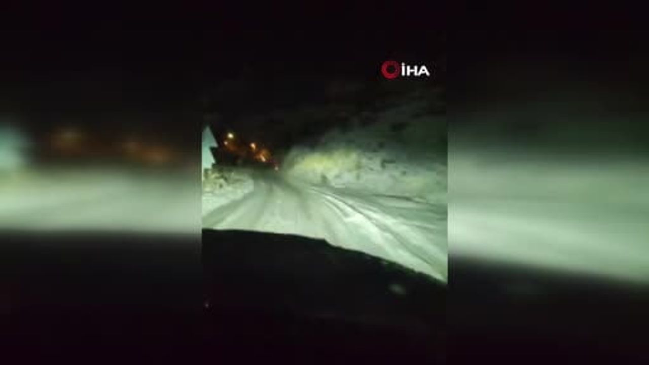 Kar nedeniyle yiyecek arayan yaban domuzu kara yoluna indi