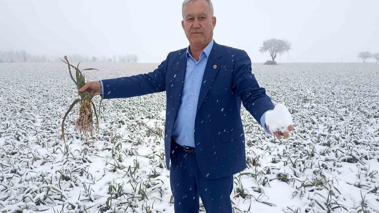 Kar yağışı Araban sarımsağında verim umudu