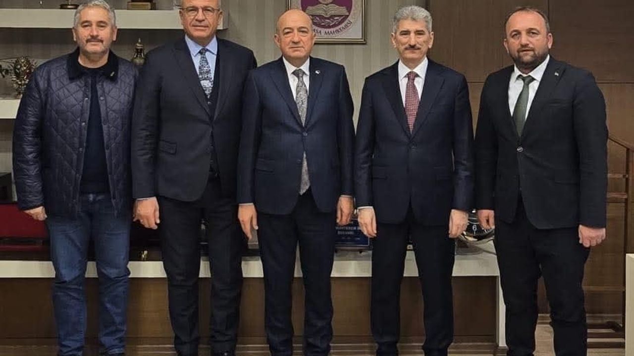 Karabiga İçin Ankara'da Yoğun Temaslar: Köprü ve Yatırım Talepleri