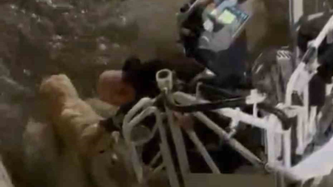 Karabük’te su kanalına düşen köpek itfaiye tarafından kurtarıldı